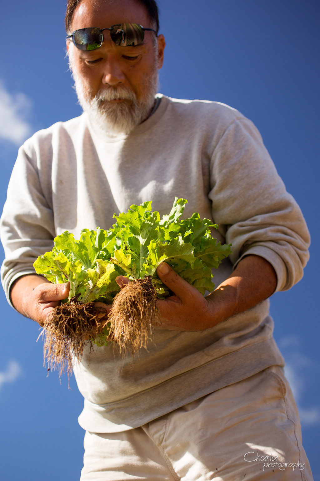 Image used to describeHirabara Farms,Big Island