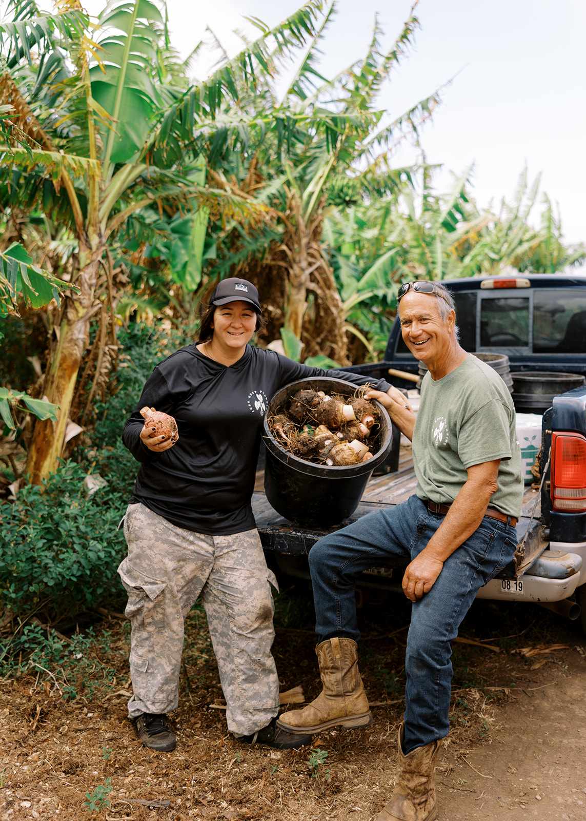 Image used to describe Hawai’i Taro Farm LLC, 